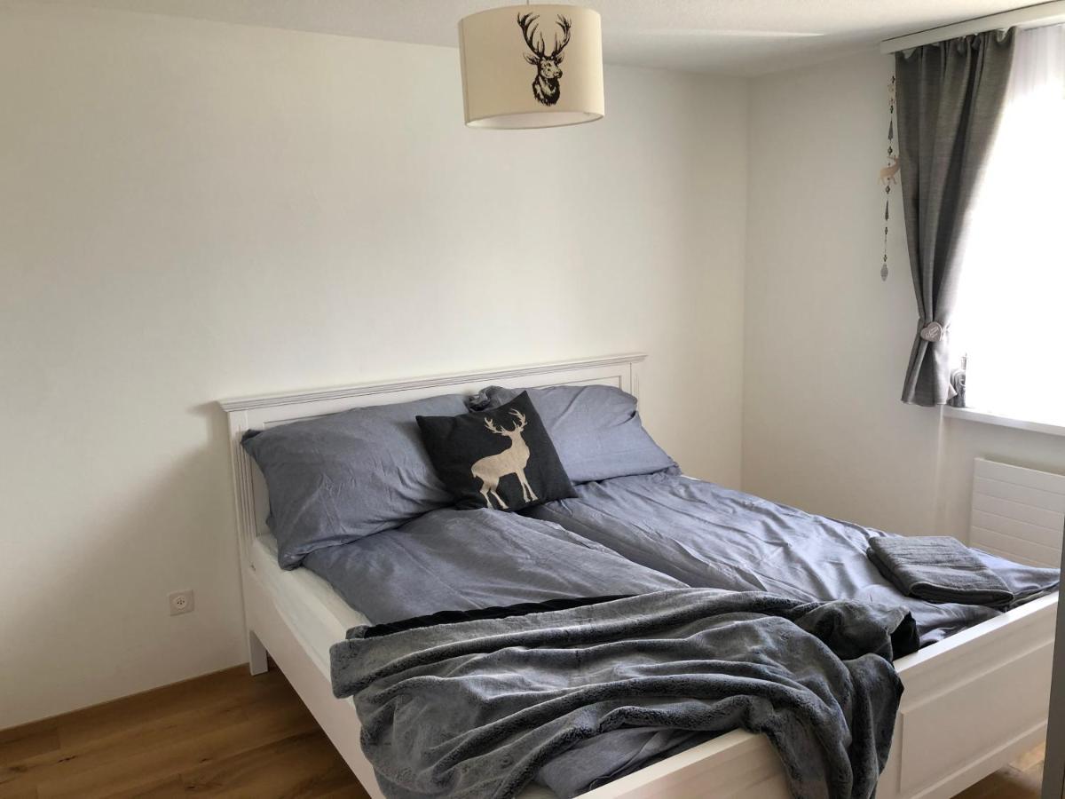 Renovated 3 Rooms Apartment In Ruschein Near Laax Luaran gambar
