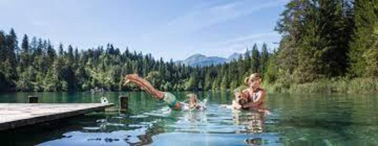 Renovated 3 Rooms Apartment In Ruschein Near Laax Luaran gambar